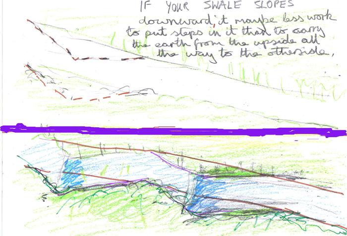 [Thumbnail for swalw in steps.jpg]